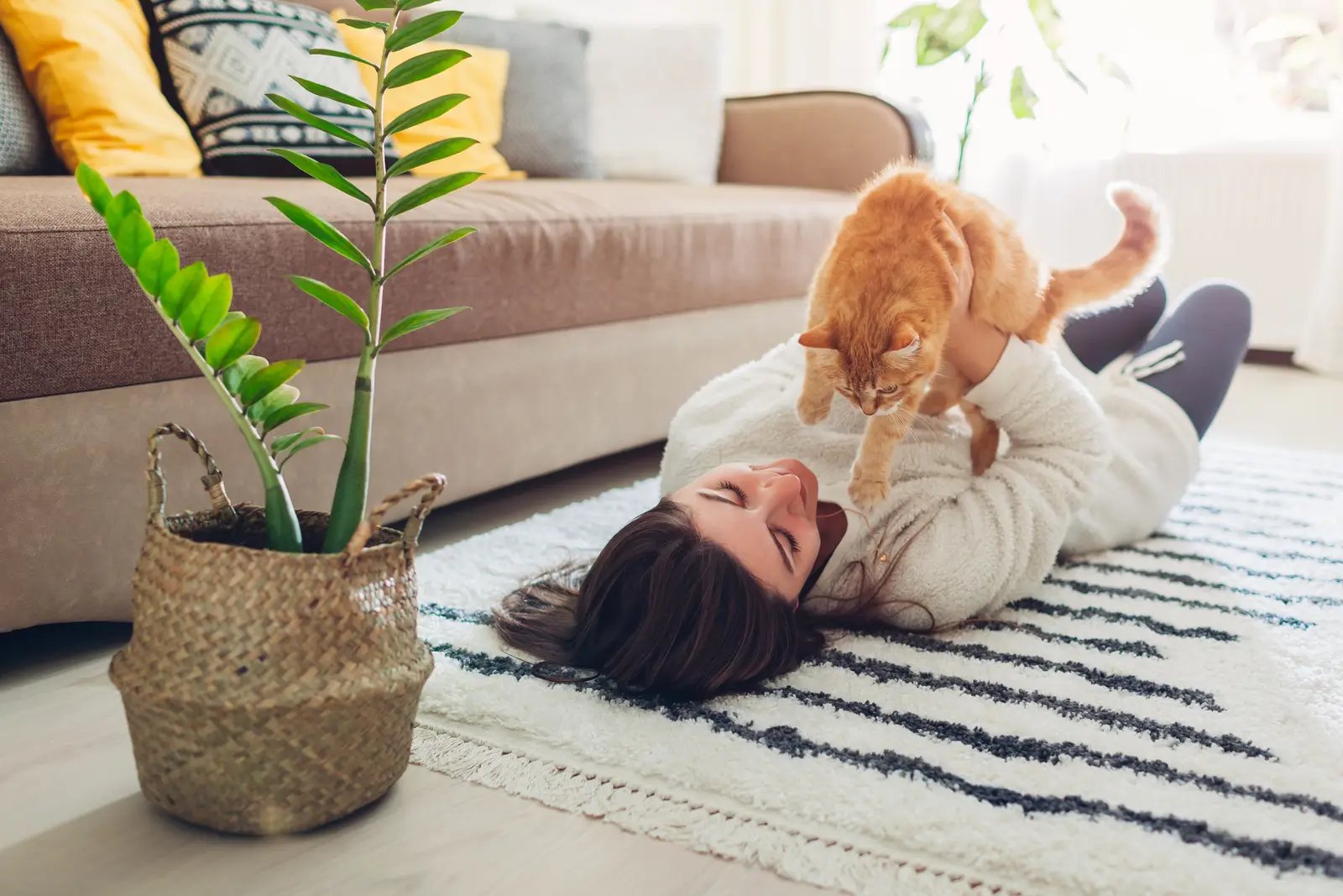 Should You Allow Pets in Your San Antonio Rental? Here’s What to Consider